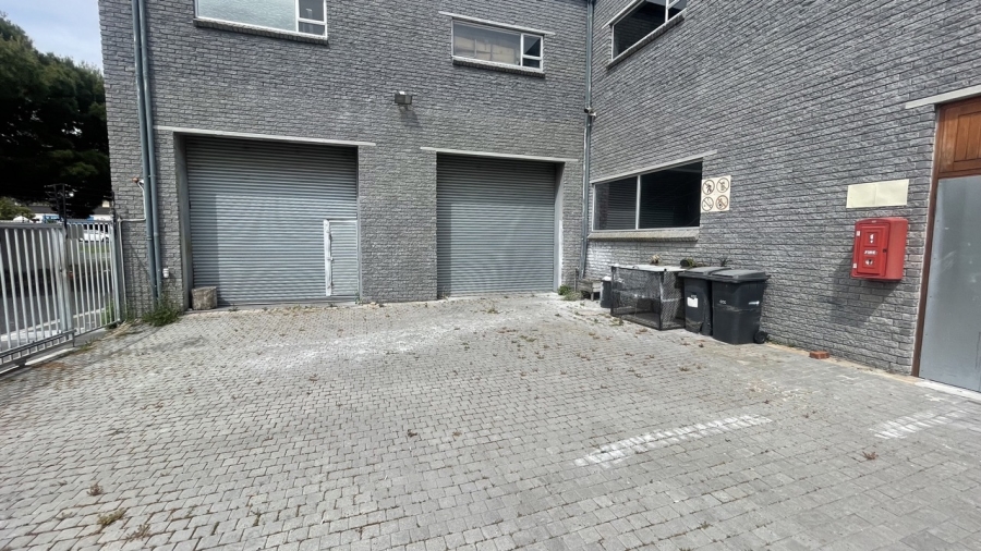 To Let commercial Property for Rent in Diep River Western Cape